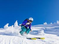 IM电竞注册-鹰击长空，绿军铁壁，詹姆斯如何以节奏大师之姿主宰赛场