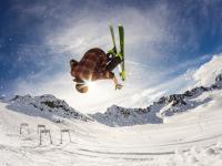 LOL-赛道上的血脉压制，红牛车队碾压二队，新星皮亚斯特里点燃赛场