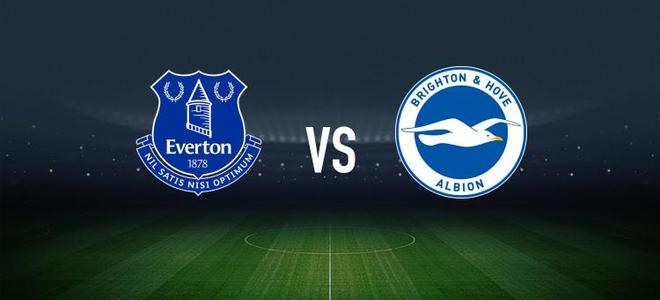 埃弗顿憾负布莱顿,难以逆转比分 埃弗顿憾负布莱顿,难以逆转比分