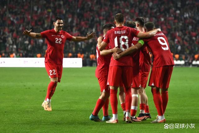 引人注目的欧洲足球赛事中诞生了一支黑马的简单介绍