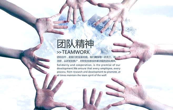 关于激情四射！球场上的对决激发团队合作精神的信息